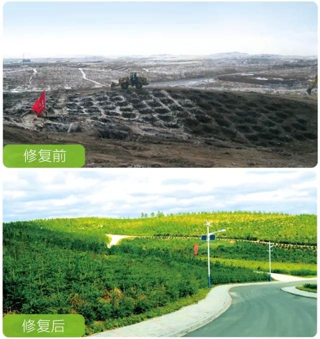 领航国际官方网站图片