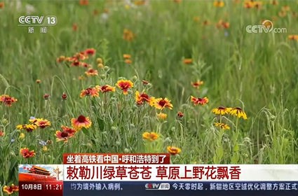 领航国际 daae6