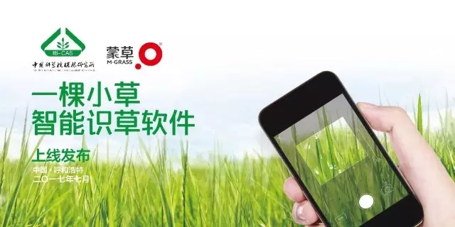 领航国际官方网站图片