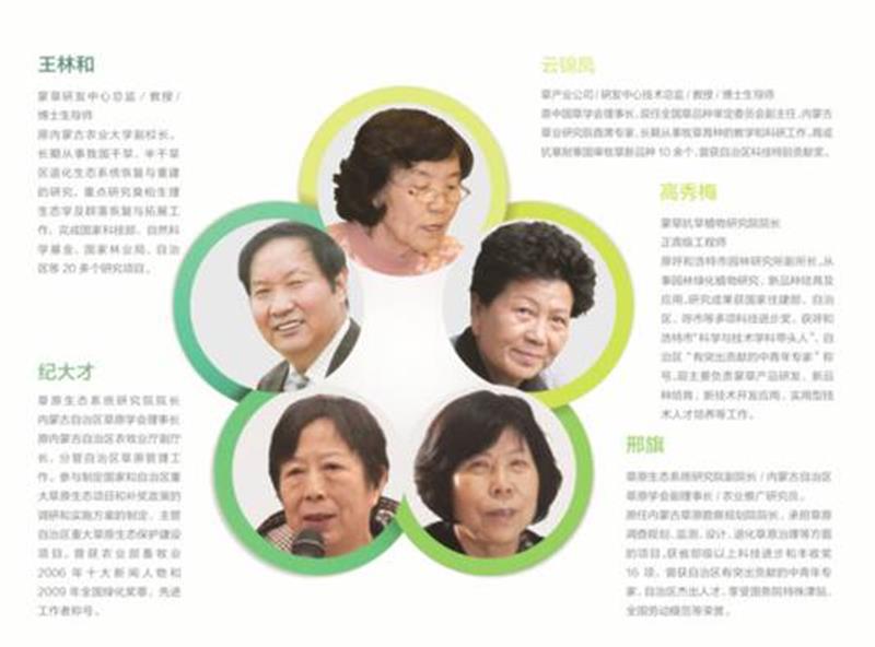 领航国际 ccaa3