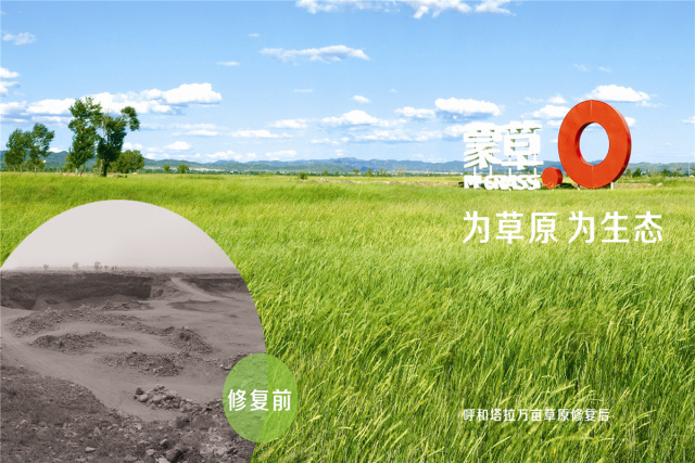 领航国际 5af2a