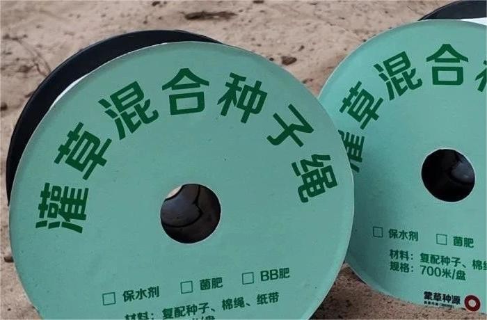 领航国际 0ed23