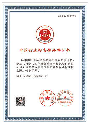 领航国际官方网站图片