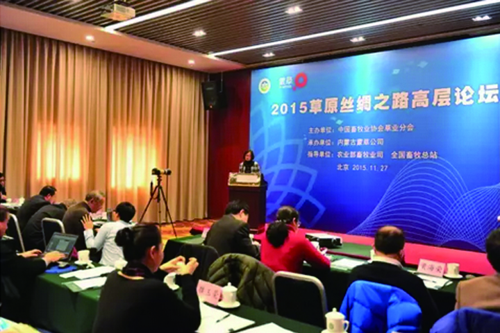 领航国际官方网站图片