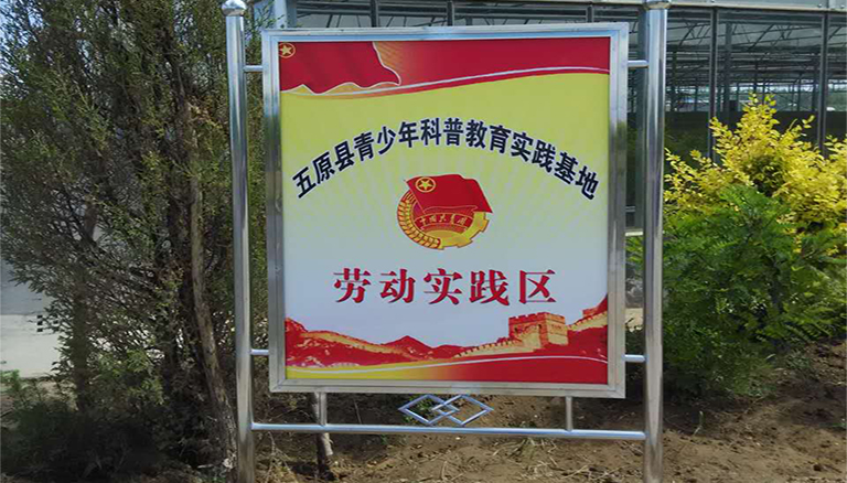 领航国际 8a80d