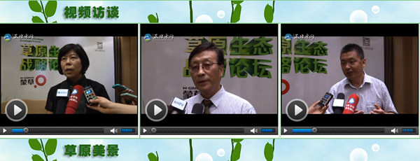 领航国际官方网站图片