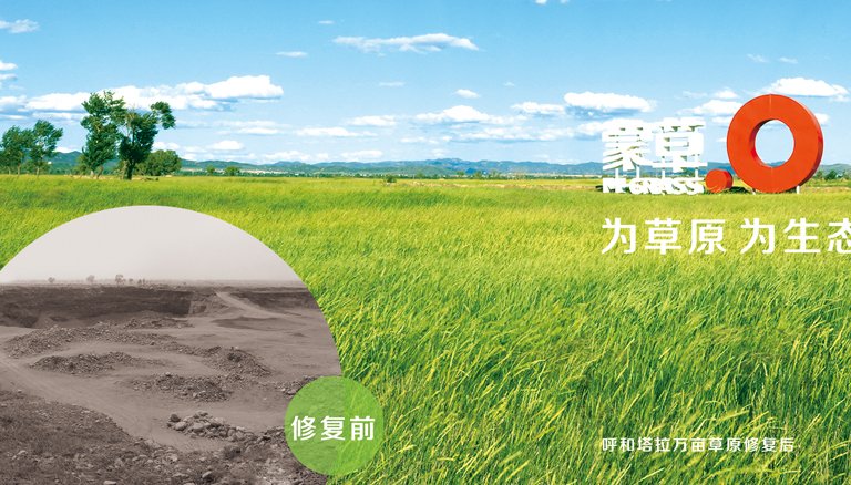领航国际 cb5e1
