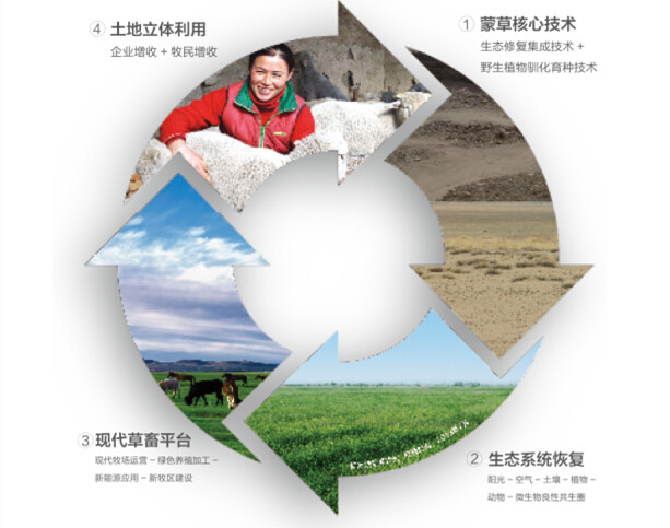 领航国际官方网站图片