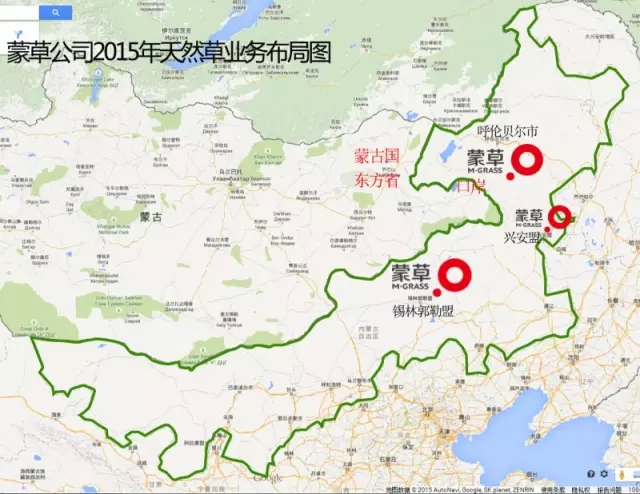领航国际官方网站图片