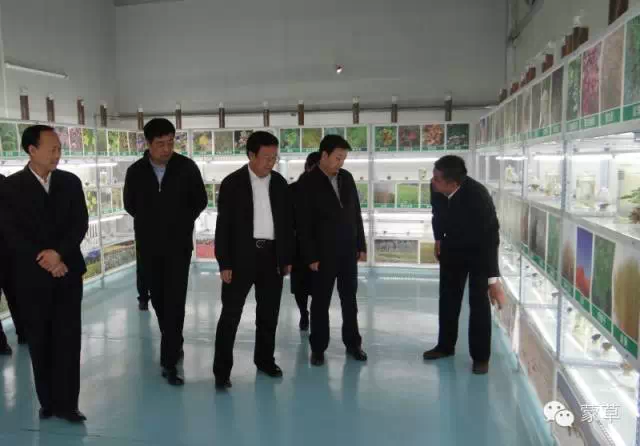 领航国际官方网站图片