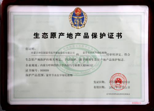 领航国际官方网站图片