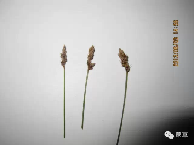 领航国际官方网站图片
