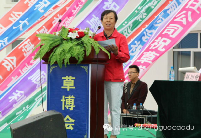 领航国际官方网站图片