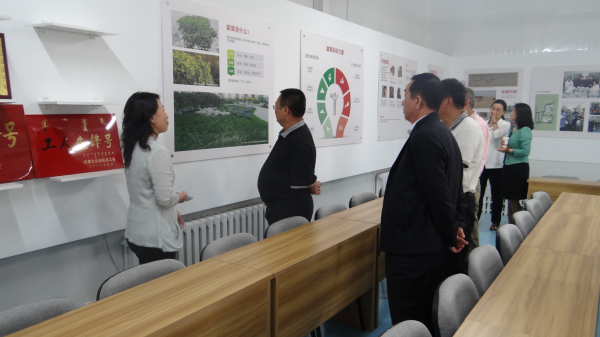 领航国际官方网站图片