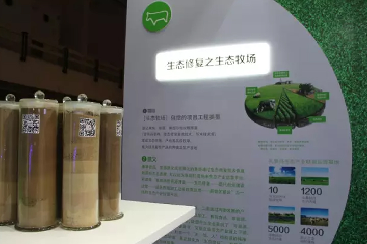 领航国际官方网站图片