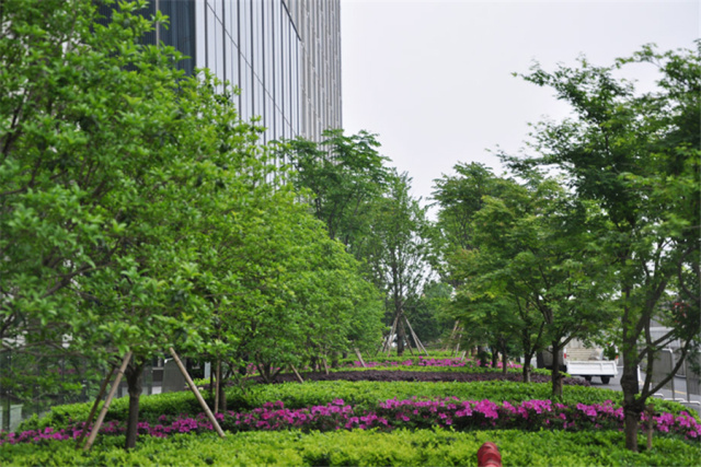 领航国际 223b1