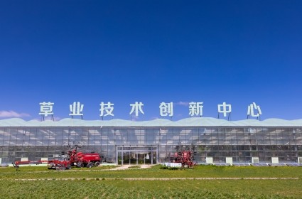 领航国际 85892