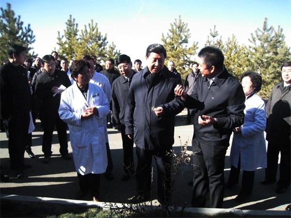 领航国际官方网站图片