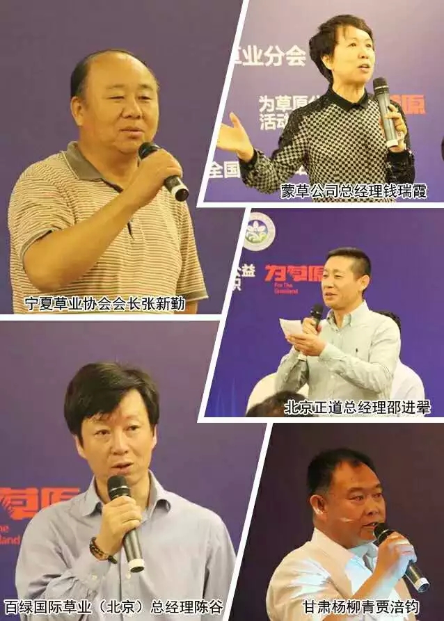 领航国际官方网站图片